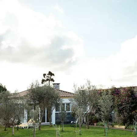 Azores Olive Garden House Holiday home