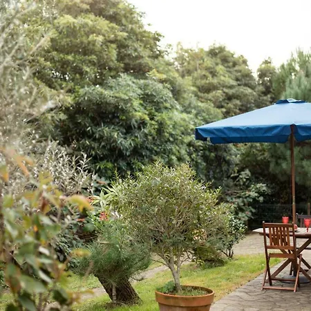 Azores Olive Garden House *