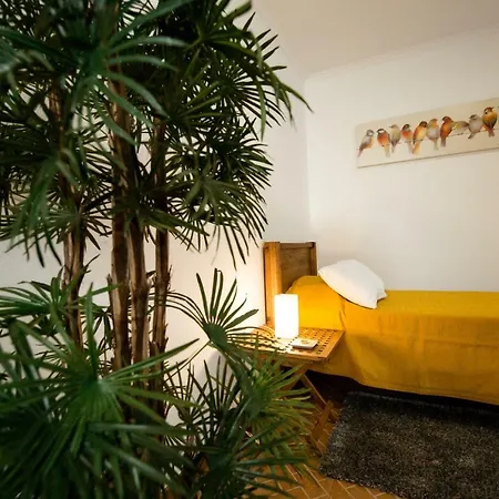 Azores Olive Garden House Arrifes
