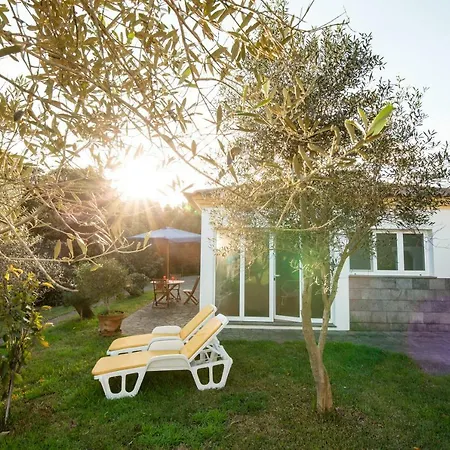 Ferienhaus Azores Olive Garden House